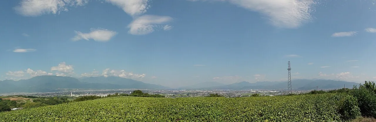 手前の緑の畑の向こうに、町並みの広がる盆地と、遠くの山々が見渡せる横長の景色