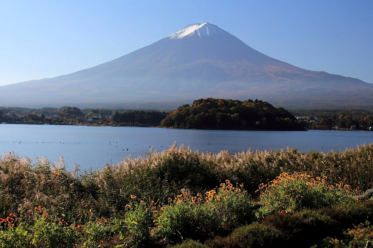 手前に黄色い花とススキの茂る湖岸、その先に湖と緑の小島、奥に山頂に雪の残る富士山