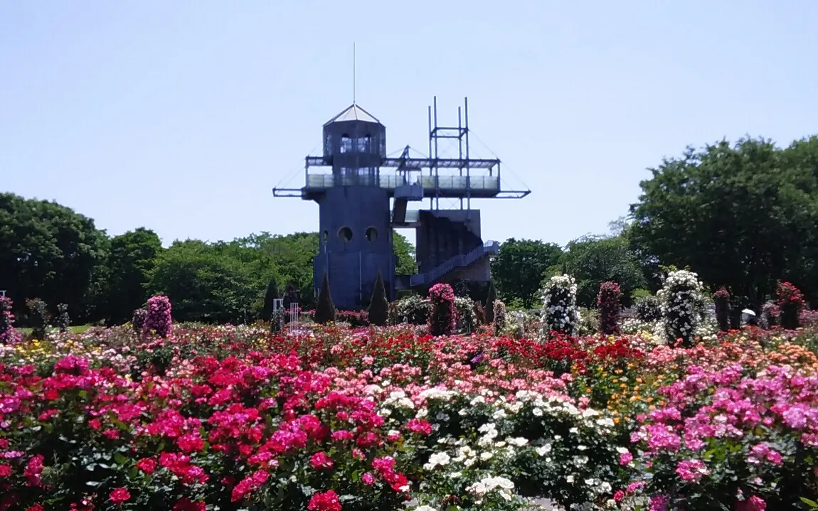赤やピンク、白のバラが一面に咲く花壇と、その奥に立つ展望台の塔