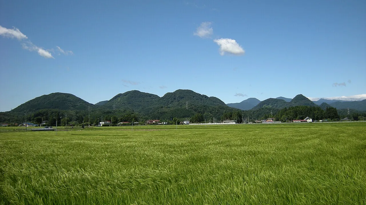 青空の下、一面の緑の田畑の向こうに、丸みのある低い山々が並ぶ景色
